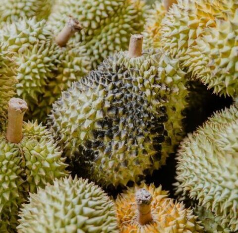 Ilustrasi tempat makan durian enak di Bekasi. (Pinterest/Freepik.com)