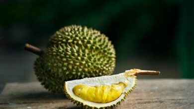 Rekomendasi tempat makan durian enak di Kabupaten Pandeglang. (Pinterest/Freepik.com)