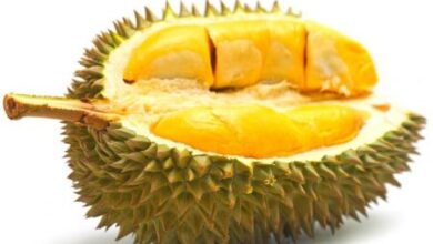rekomendasi 5 tempat makan durian yang enak di Jakarta dan sangat cocok cobain saat weekend dan libur