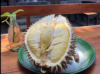 Rekomendasi tempat makan durian di Jogja