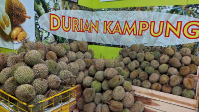 Tempat makan durian yang paling enak di Cirebon