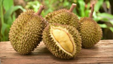 rekomendasi 5 tempat makan durian di Bandung yang paling enak dan bikin mood makan bertambah