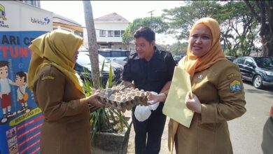 Pegawai DP3AKB Kota Serang menerima telur ayam