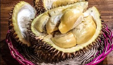 Tempat makan durian di Surabaya