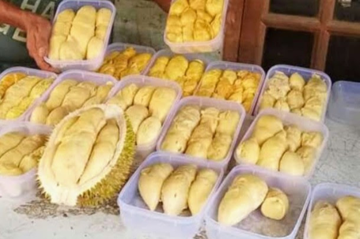tempat makan durian enak