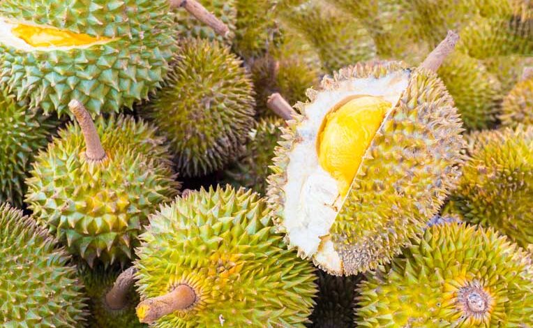 5 tempat makan durian di Padang paling enak yang dijamin tidak pernah terlupakan