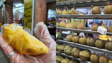 tempat makan durian enak