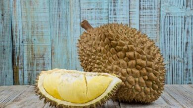 6 tempat makan durian di Bogor paling enak dan murah meriah yang pencinta durian wajib tahu