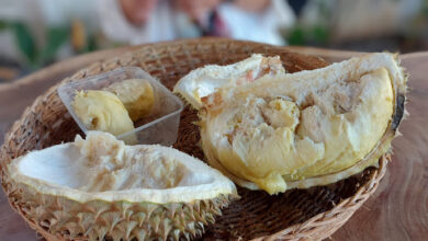 tempat makan durian di Makassar