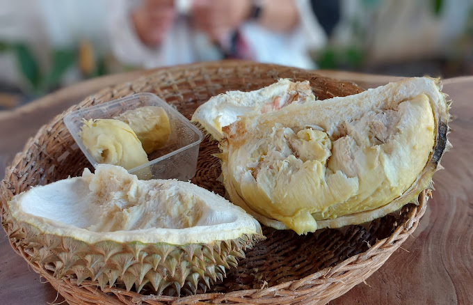 tempat makan durian di Makassar