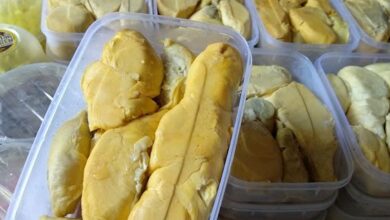 tempat makan durian di Pemalang