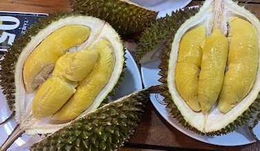 tempat makan durian di Riau