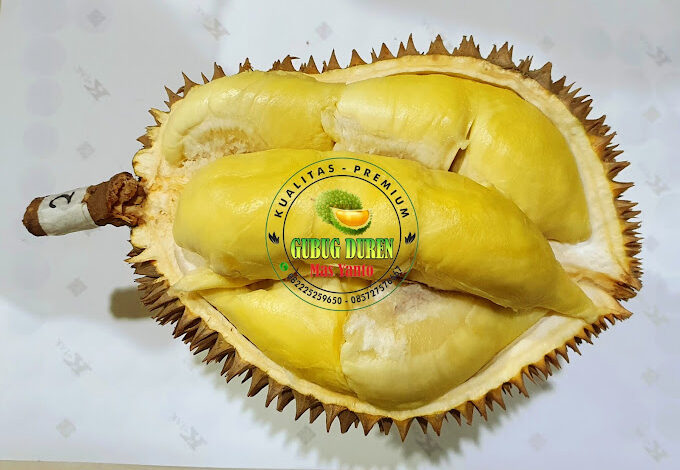 tempat makan durian di Semarang