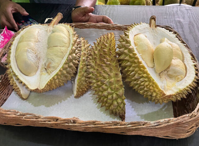 tempat makan durian di Solo