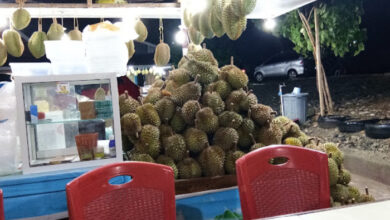 tempat makan durian enak di Palu