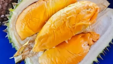 rekomendasi 5 tempat makan durian di Medan paling enak dan terbaru hingga banyak yang buka 24 jam