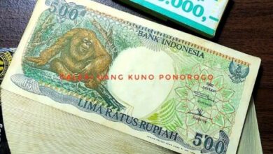 uang kertas kuno Rp500 gambar Orang Utan