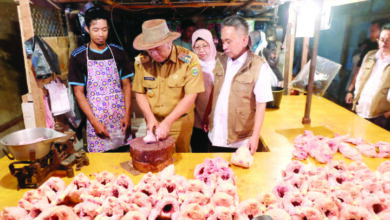 Sidak Pasar Rau, Al Muktabar Cincang 3 Ekor Ayam