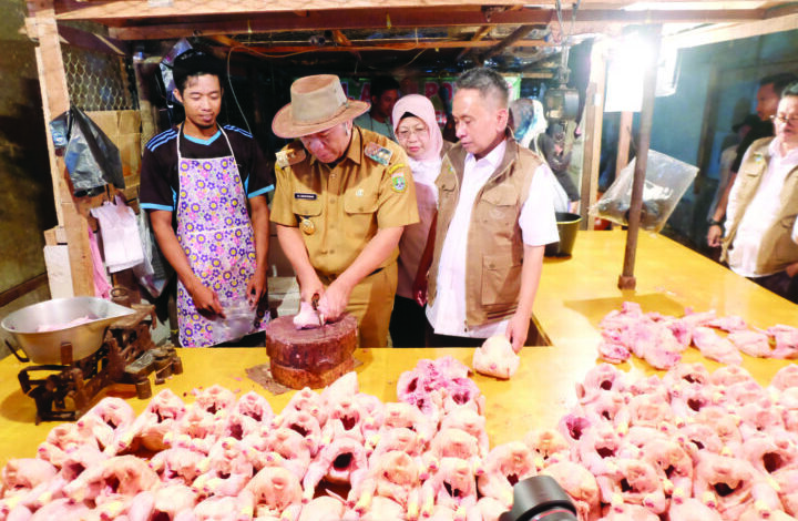 Sidak Pasar Rau, Al Muktabar Cincang 3 Ekor Ayam