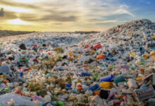 DLHK Serahkan Penanganan Sampah Teluk Labuan ke Pemkab