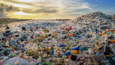 DLHK Serahkan Penanganan Sampah Teluk Labuan ke Pemkab