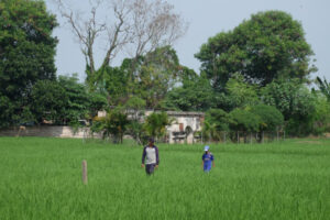 Doni Serang Cagar Budaya Gapura Gedong Ijo Banten Lama 1