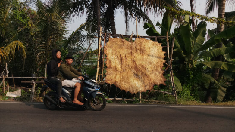 Doni Serang Jemur Kulit Sapi Kurban Untuk Bahan Baku Bedug 1