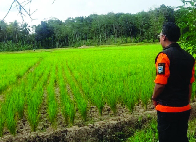 Warga Desa Bojongmanik Dilanda Kekeringan