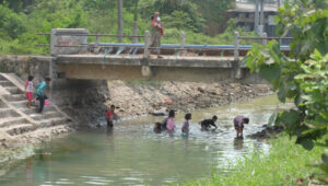 Bocah Asik Mencari Ikan di Irigasi Dibawah Jembatan Priayi Kasemen Kota Serang