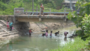 Bocah Asik Mencari Ikan di Irigasi Dibawah Jembatan Priayi Kasemen Kota Serang