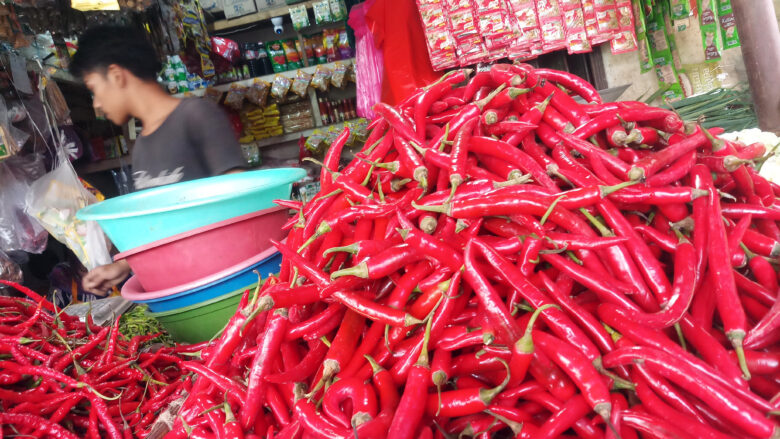 Doni Serang Harga Cabai Merah Keriting Stabil Rp 40 Ribu Per Kilogramnya 1