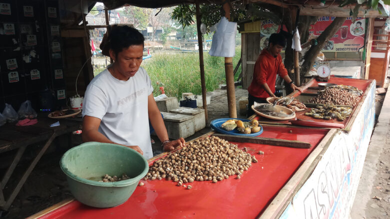 Doni Serang Ikan Laut Langka 1