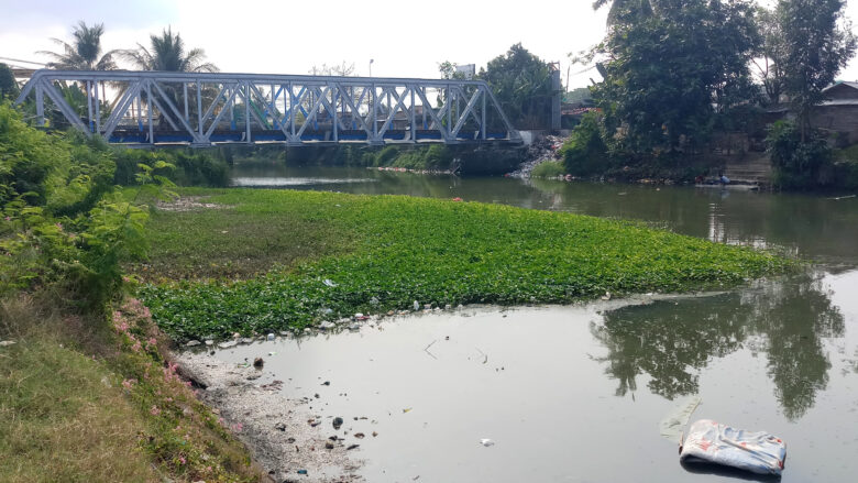 Doni Serang Permukaan Air Bendung Karet Cibanten Tertutup Tanaman Liar 1