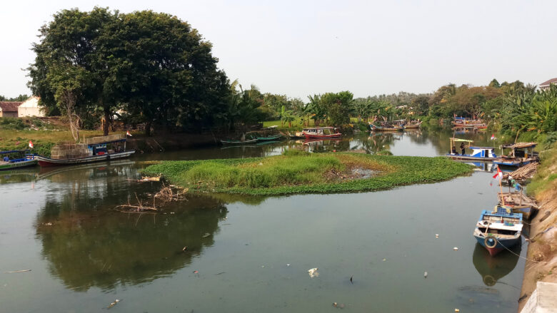 Doni Serang Tanah dan Rumput Ditengah Tengah Bandung Karet Cibanten Kasemen Kota Serang 1