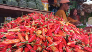 Doni Serang Harga Cabai Rawit Merah Naik jadi Rp 60 Ribu 1