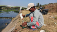 Doni Serang Mancing Ikan Belanak Gunakan Kail Botol Dengan Umpan Tepung Terigu 1