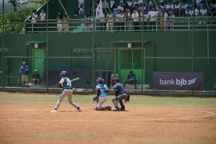 Baseball Softball