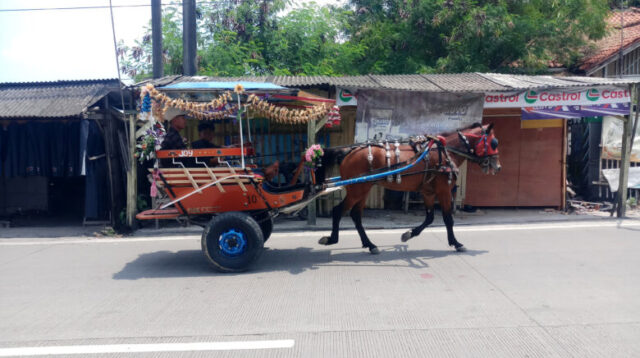 Doni Serang Transportasi Andong di Kota Serang 1