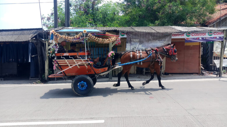 Doni Serang Transportasi Andong di Kota Serang 1