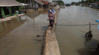 Doni Serang Karang Mulya Kasemen Kembali Dilanda Banjir Rob 1