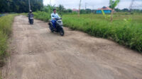Doni Serang Betonisasi Jalan di Kota Serang Dibutuhkan Rp80 M 1