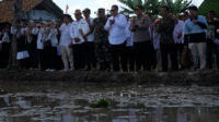Doni Serang Walikota Serang Budi Rustandi Tinjau Tanam Padi Serentak 1