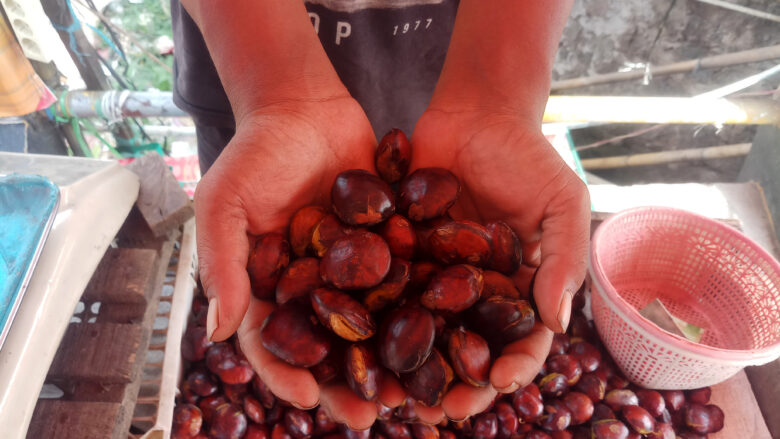 Doni Serang Harga Jengkol Dua Kali Lipat Lebih Mahal Dari Pada Daging Ayam 1
