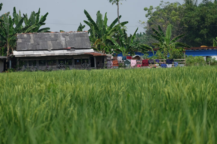 Pemukiman Warga Pinggir Rel KA Masih Ada di Kota Serang Doni Serang Pemukiman Warga Pinggir Rel KA Masih Ada di Kota Serang 1