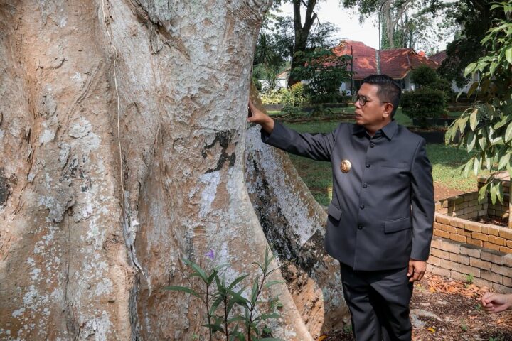 Andra Soni Dipuji Aktivis Lingkungan, Tak Pernah Ada Gubernur Banten Sebelumnya Begini... - Bantenraya.co.id Gubernur Banten Andra Soni takjub dengan pohon yang ada di lingkungan rumah dinasnya.