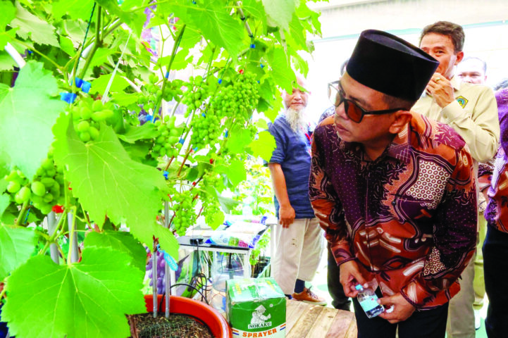 Petani di Banten Mayoritas Lansia Petani di Banten Mayoritas Lansia