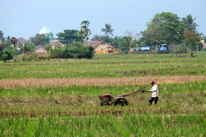 Bupati Serang Gencarkan Percepatan Tanam Padi Bupati Serang Gencarkan Percepatan Tanam Padi