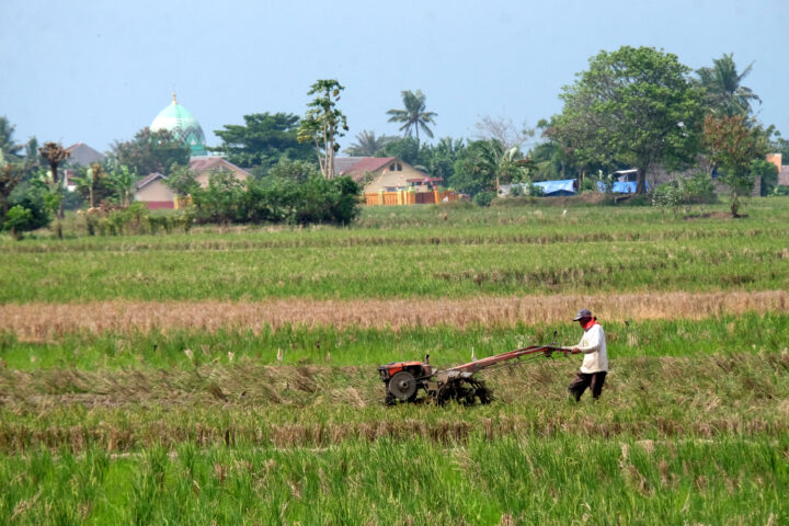 Doni Serang 18.022 Petani di Kota Serang Kasemen dan Taktakan Paling Banyak 1