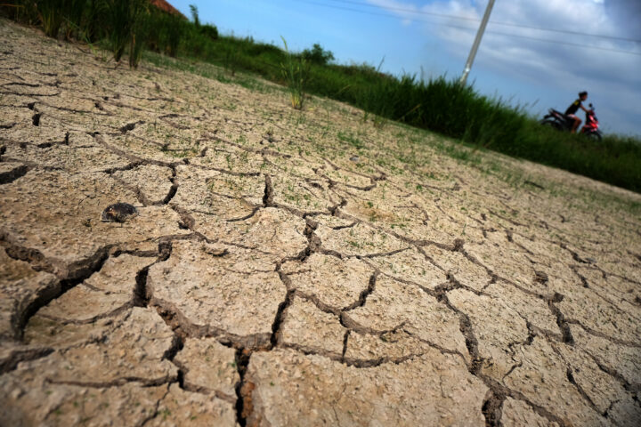 Tanah Sawah Retak-Retak Akibat Kekurangan Air di Kasemen Kota Se Doni Serang Tanah Sawah Retak Retak Akibat Kekurangan Air di Kasemen Kota Serang 1