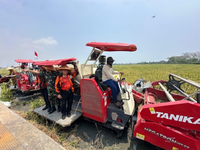 WhatsApp Image 2025 09 01 at 18.17.31